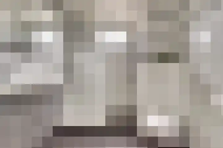 Benraatshoef 12 Raamsdonksveer thumbnail 29