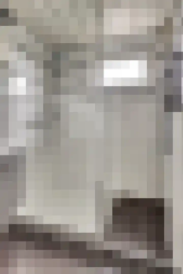 Benraatshoef 12 Raamsdonksveer thumbnail 31