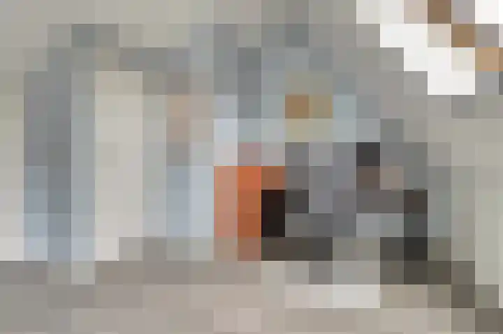Benraatshoef 12 Raamsdonksveer thumbnail 32