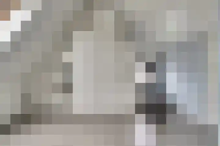 Benraatshoef 12 Raamsdonksveer thumbnail 34
