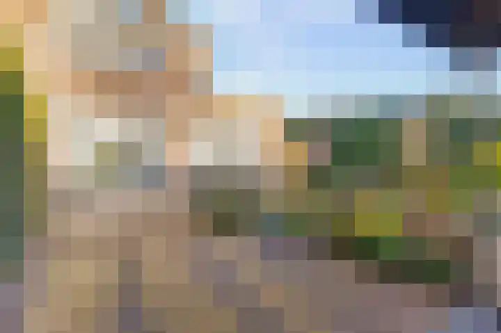 Benraatshoef 12 Raamsdonksveer thumbnail 43