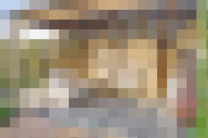Benraatshoef 12 Raamsdonksveer thumbnail 44