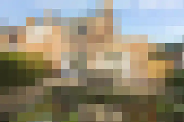 Benraatshoef 12 Raamsdonksveer thumbnail 47