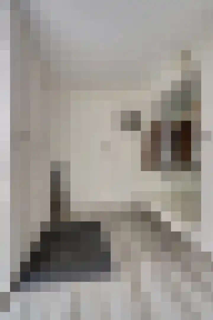 Benraatshoef 12 Raamsdonksveer thumbnail 5
