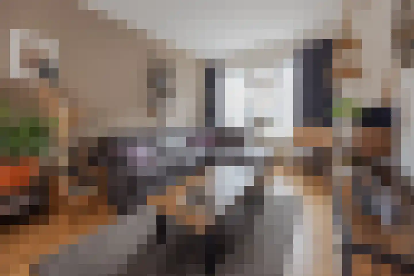 Benraatshoef 134 Raamsdonksveer thumbnail 12