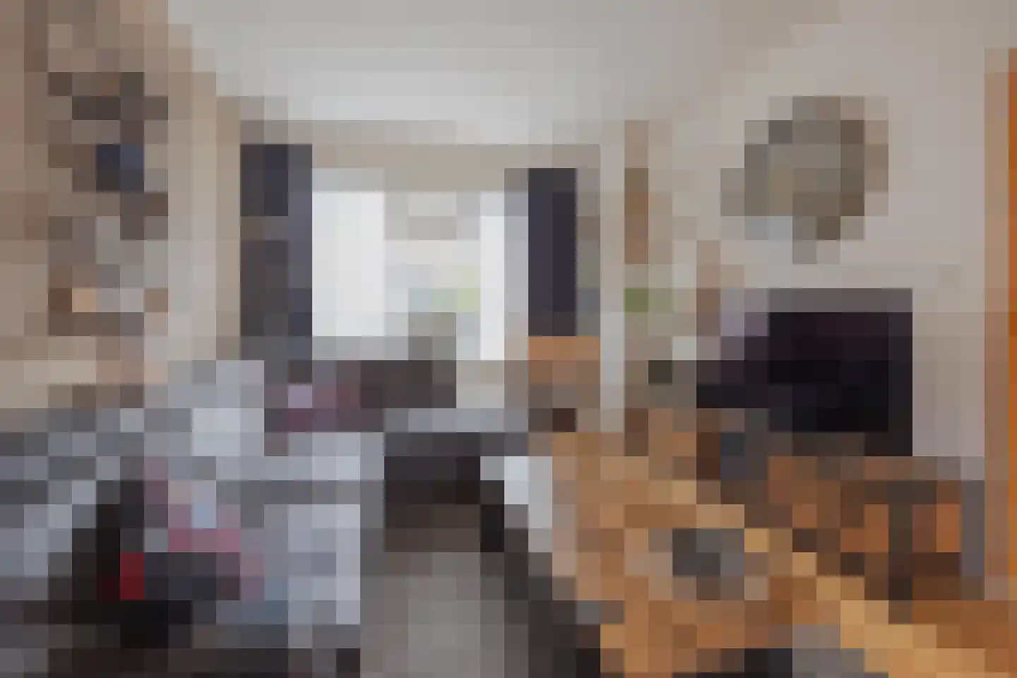 Benraatshoef 134 Raamsdonksveer thumbnail 13