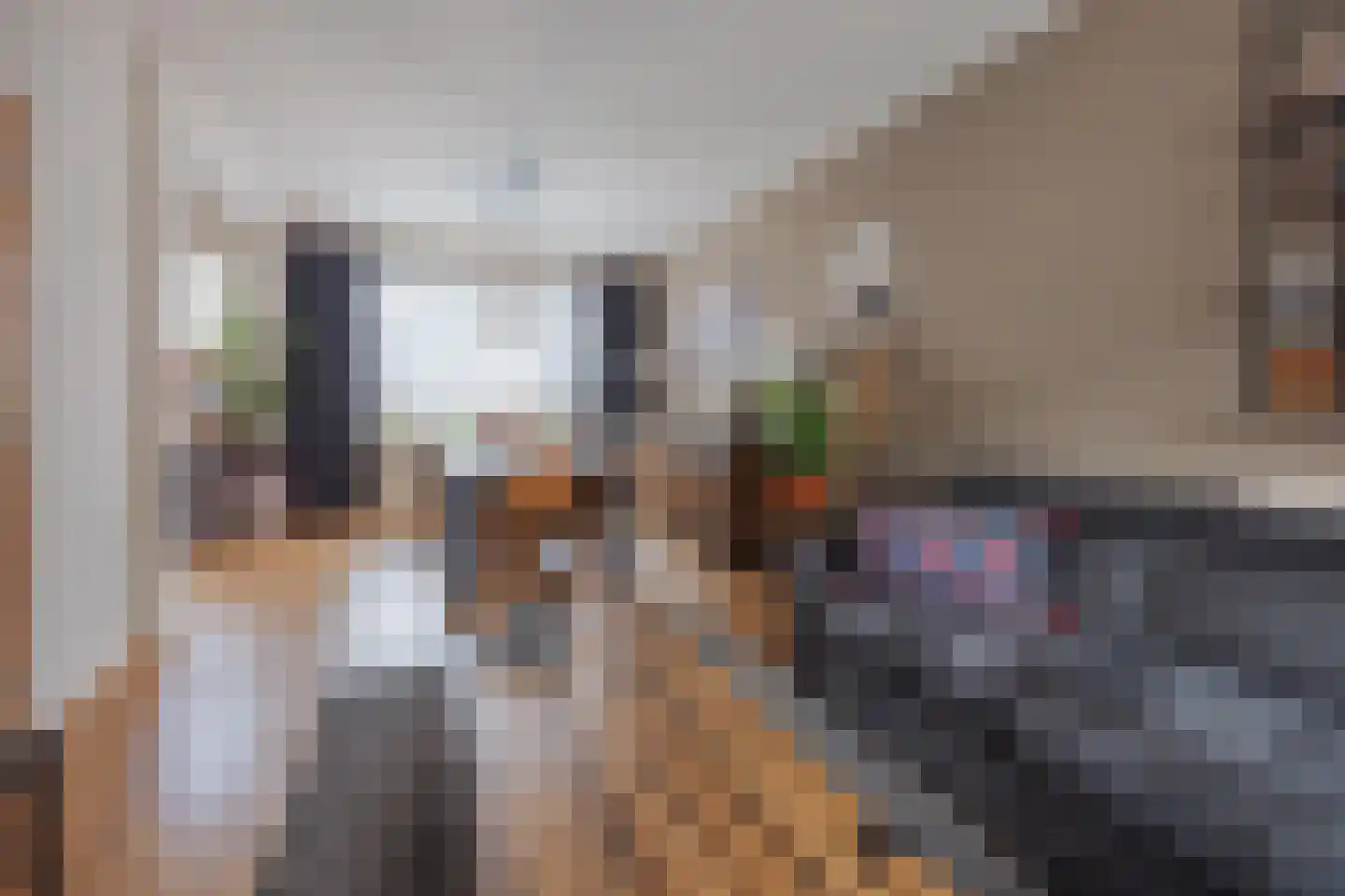 Benraatshoef 134 Raamsdonksveer thumbnail 14
