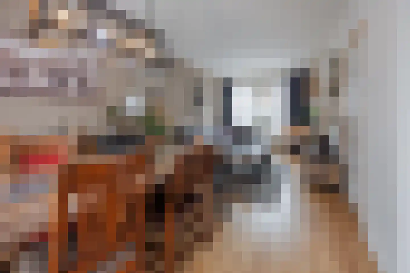 Benraatshoef 134 Raamsdonksveer thumbnail 15