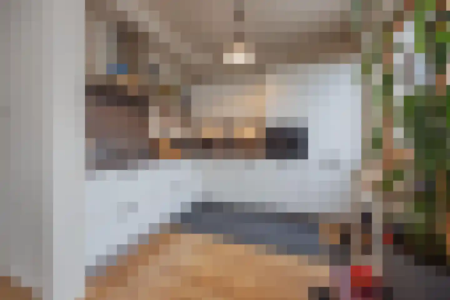 Benraatshoef 134 Raamsdonksveer thumbnail 17