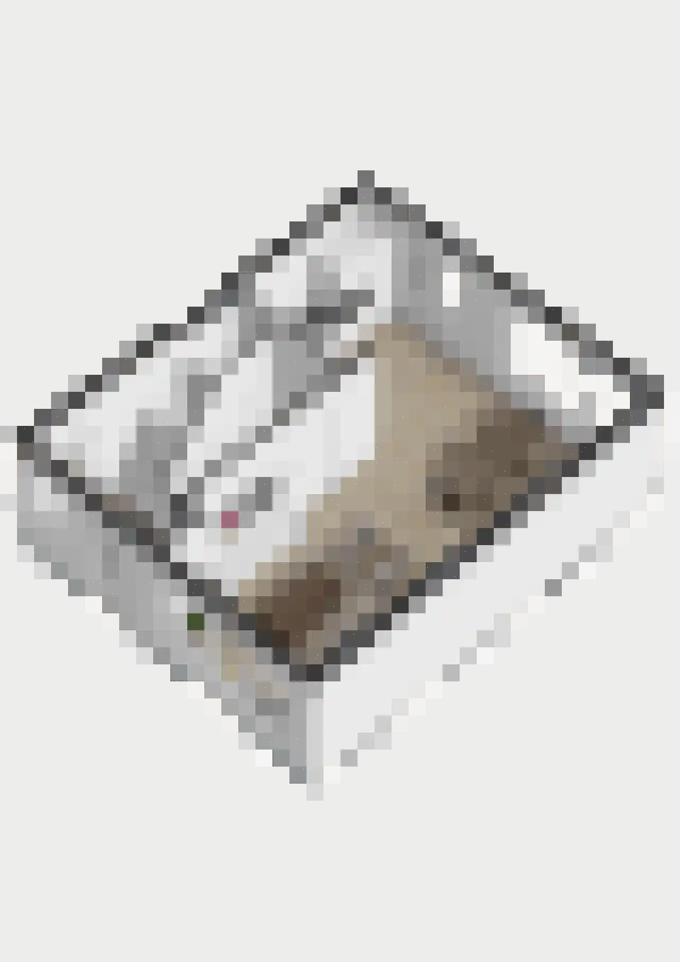 Benraatshoef 134 Raamsdonksveer thumbnail 39