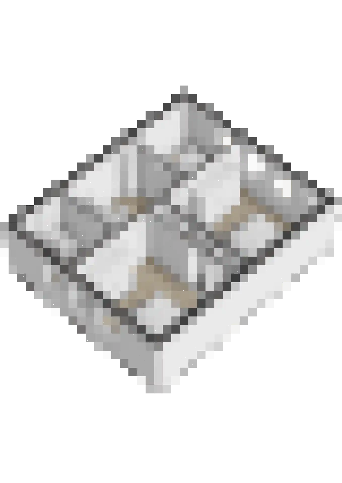 Benraatshoef 134 Raamsdonksveer thumbnail 41