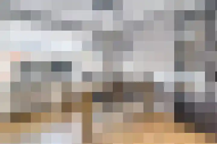 Benraatshoef 149 Raamsdonksveer thumbnail 10