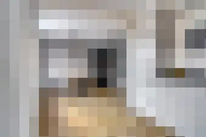 Benraatshoef 149 Raamsdonksveer thumbnail 12