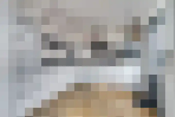 Benraatshoef 149 Raamsdonksveer thumbnail 13