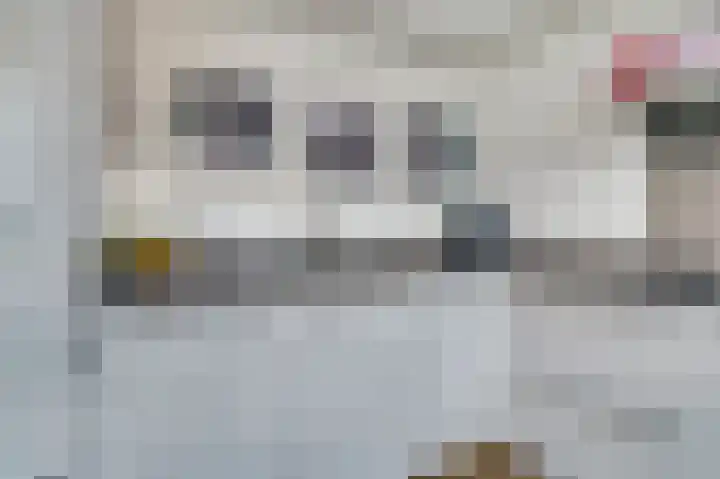 Benraatshoef 149 Raamsdonksveer thumbnail 15