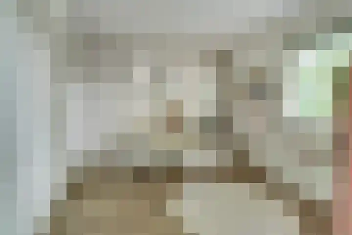 Benraatshoef 149 Raamsdonksveer thumbnail 20