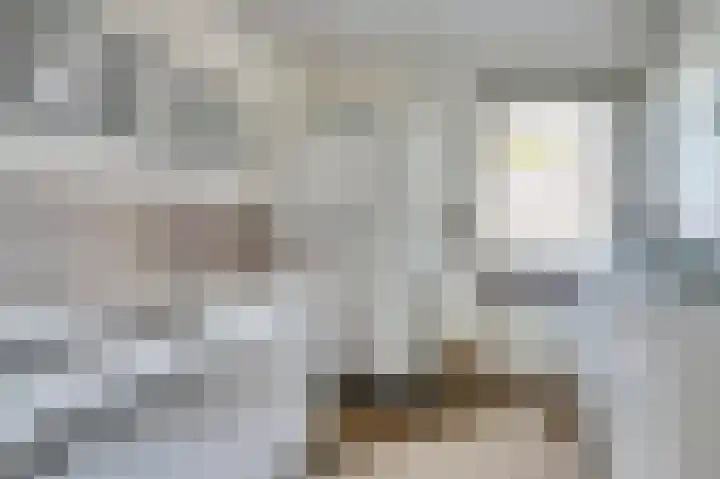 Benraatshoef 149 Raamsdonksveer thumbnail 22