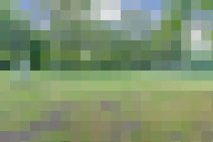 Benraatshoef 149 Raamsdonksveer thumbnail 38
