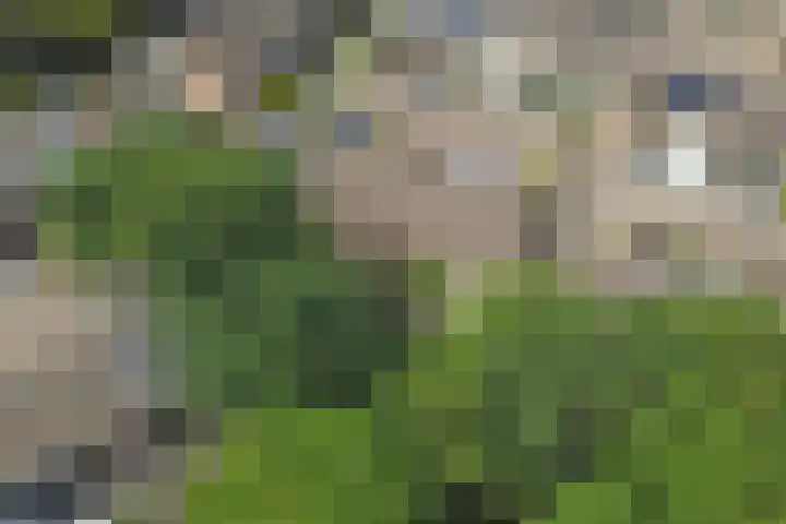 Benraatshoef 149 Raamsdonksveer thumbnail 39