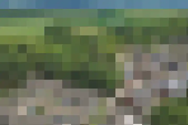 Benraatshoef 149 Raamsdonksveer thumbnail 41
