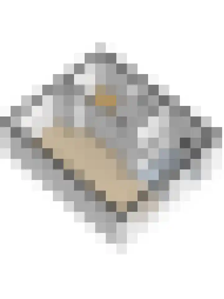 Benraatshoef 149 Raamsdonksveer thumbnail 46