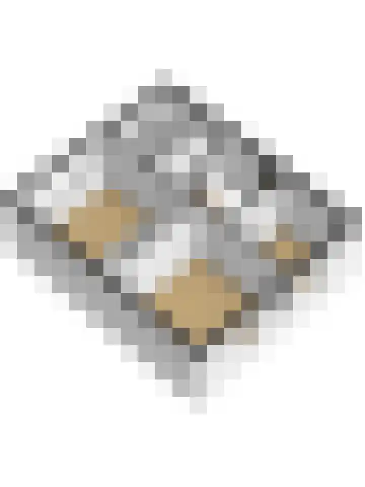 Benraatshoef 149 Raamsdonksveer thumbnail 47