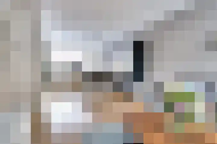 Benraatshoef 149 Raamsdonksveer thumbnail 5