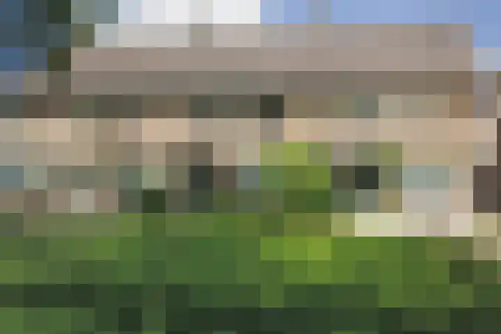 Benraatshoef 149 Raamsdonksveer thumbnail 50