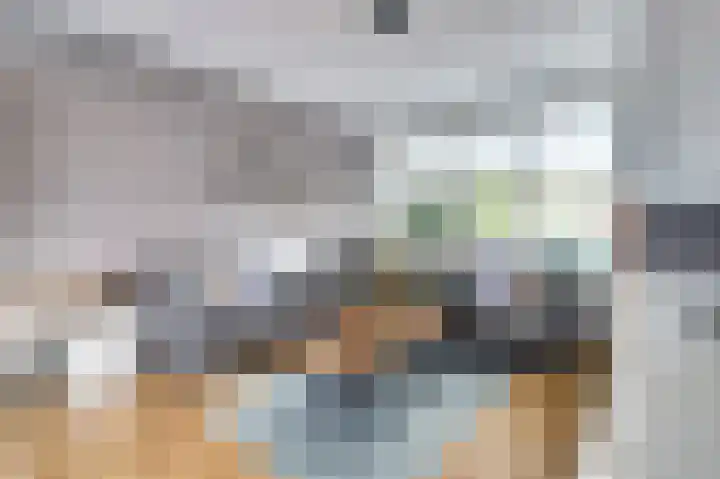 Benraatshoef 149 Raamsdonksveer thumbnail 6