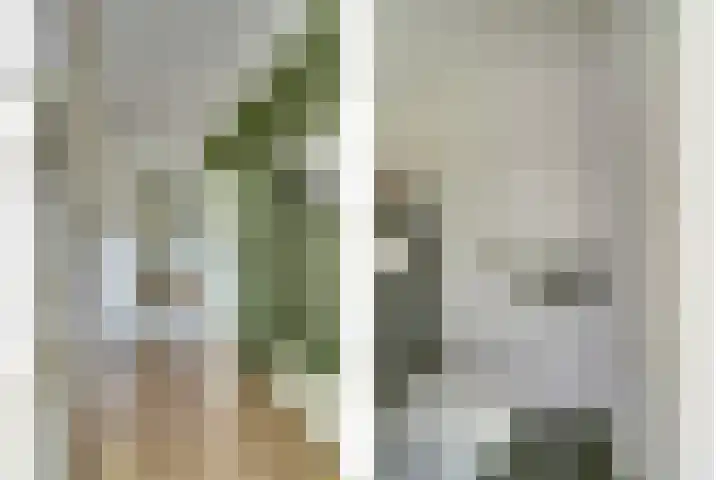 Benraatshoef 149 Raamsdonksveer thumbnail 7