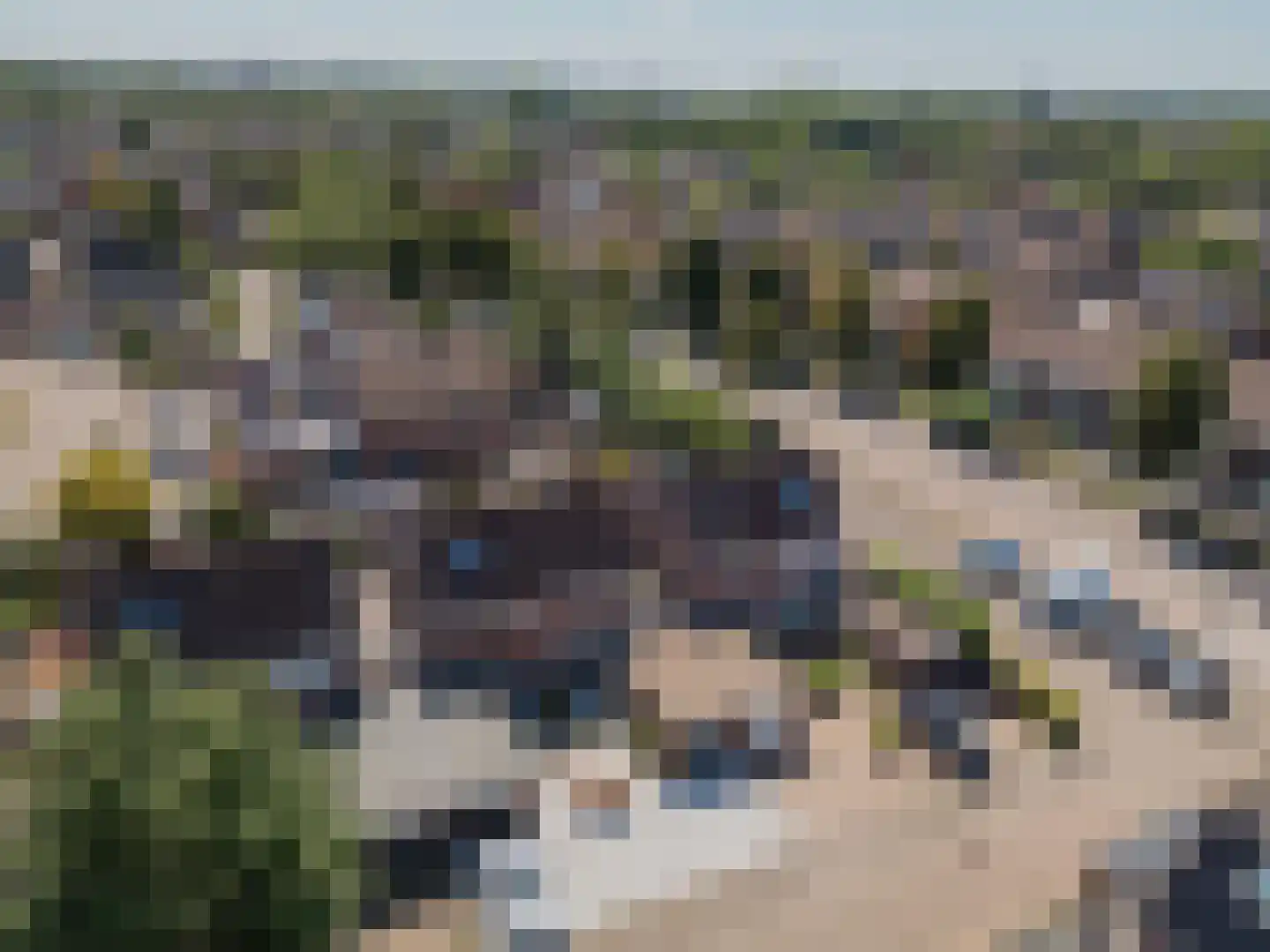 Benraatshoef 15 Raamsdonksveer thumbnail 10