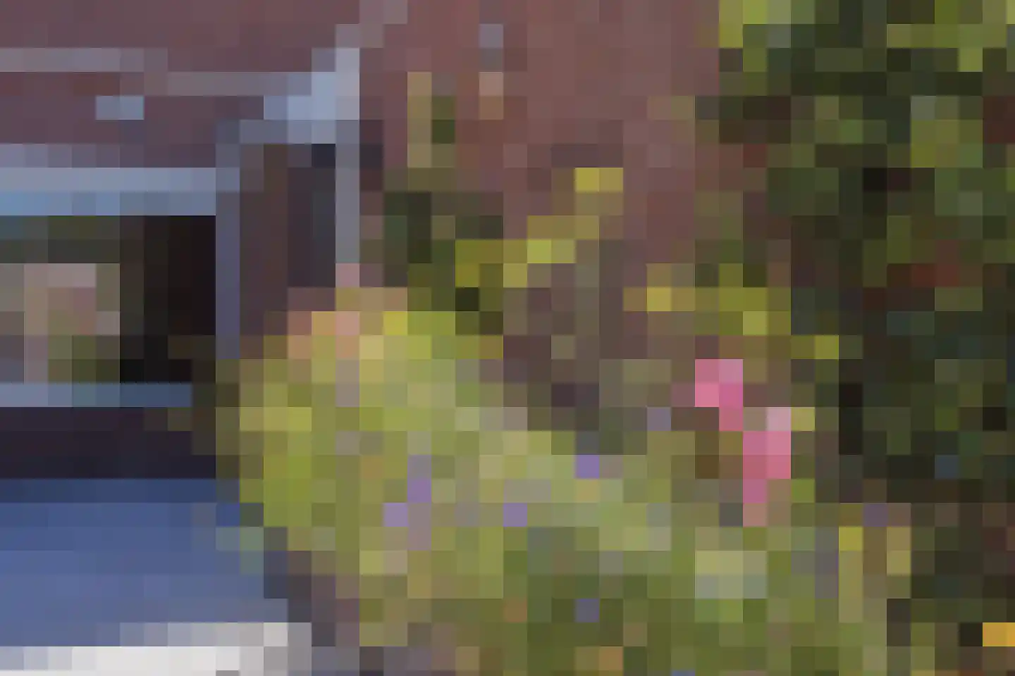 Benraatshoef 15 Raamsdonksveer thumbnail 14