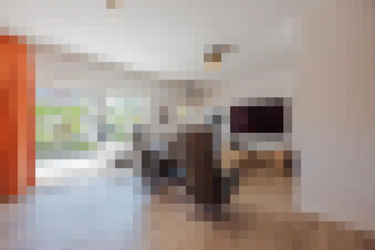 Benraatshoef 15 Raamsdonksveer thumbnail 25