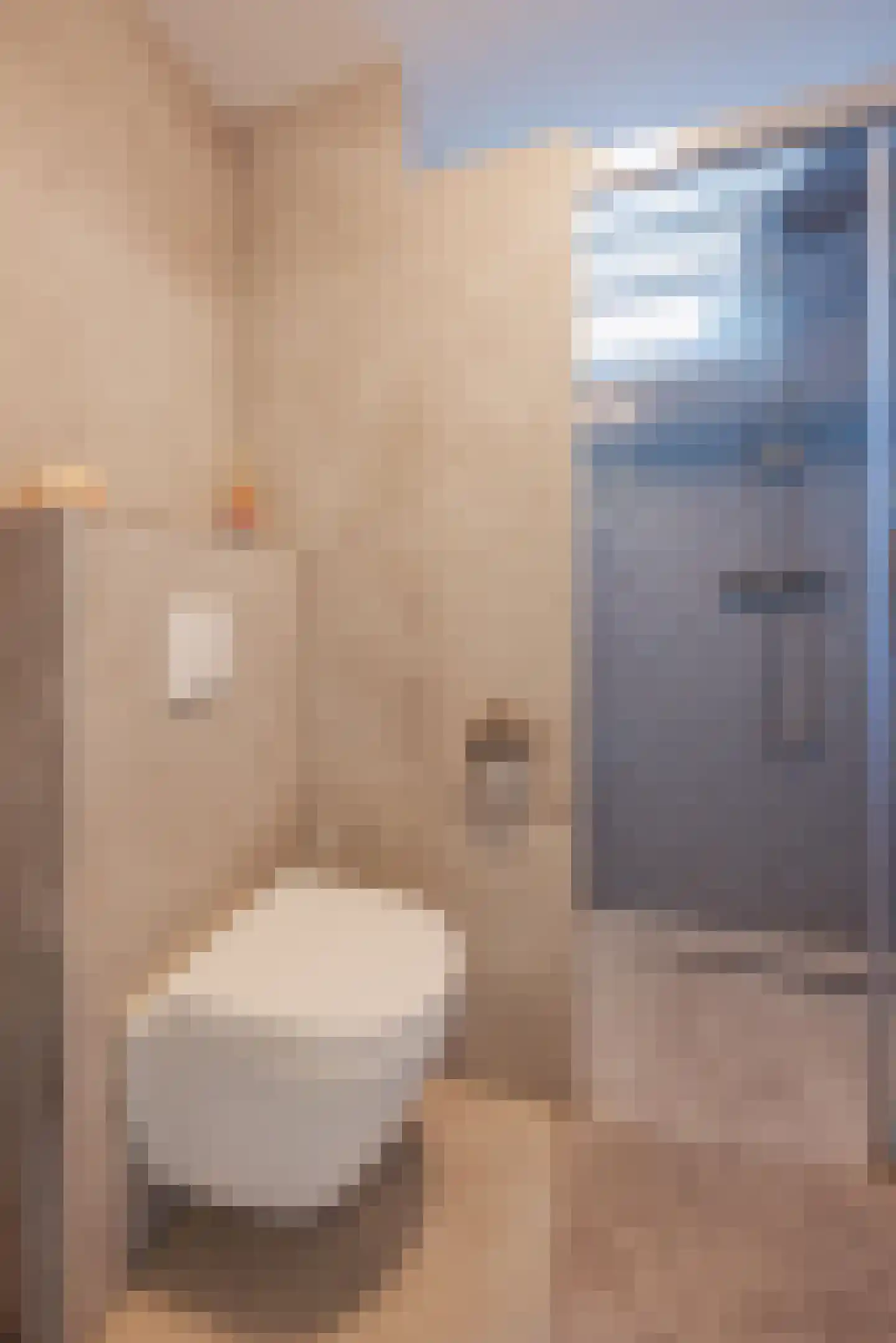 Benraatshoef 15 Raamsdonksveer thumbnail 34