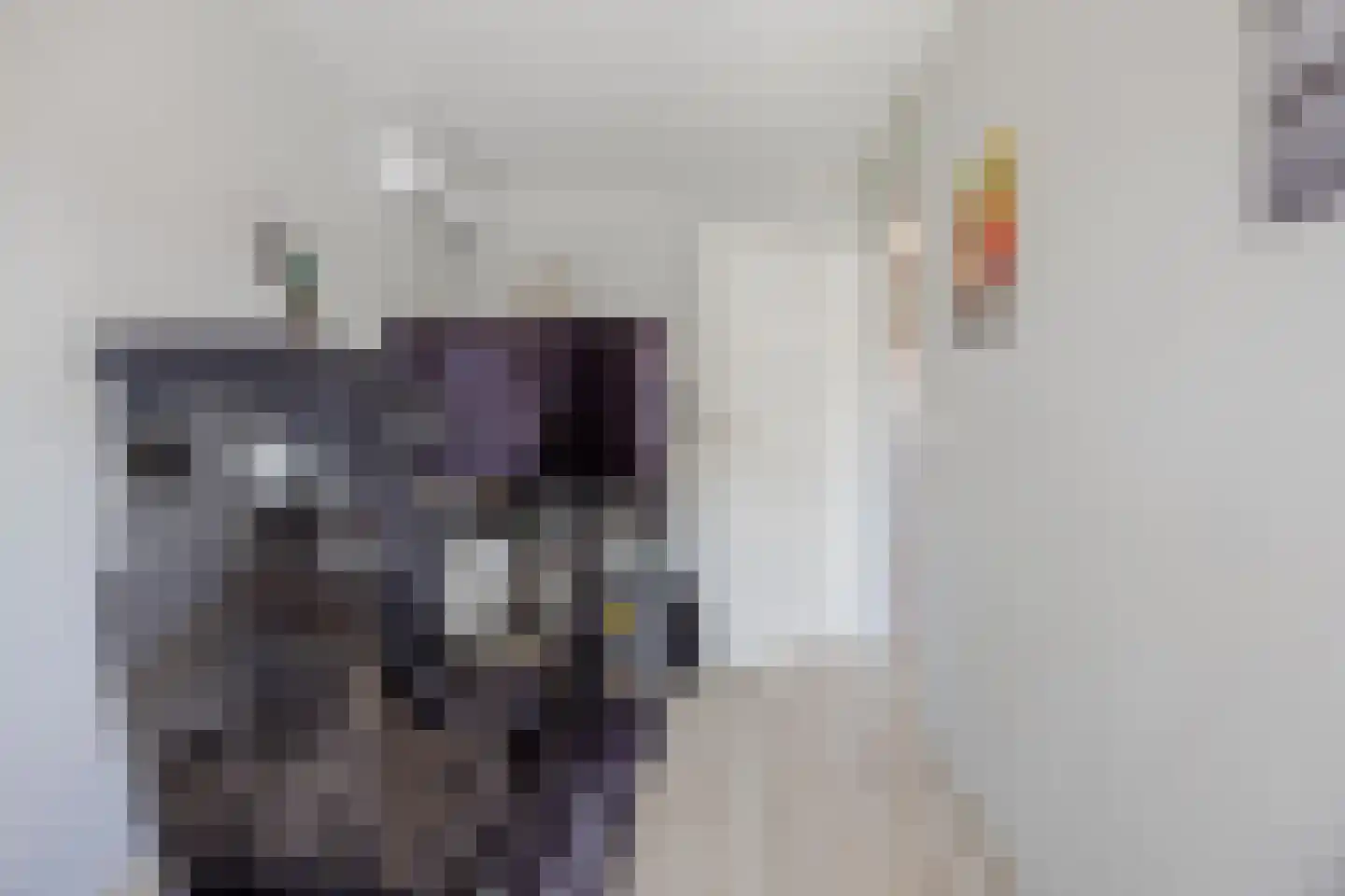 Benraatshoef 15 Raamsdonksveer thumbnail 37