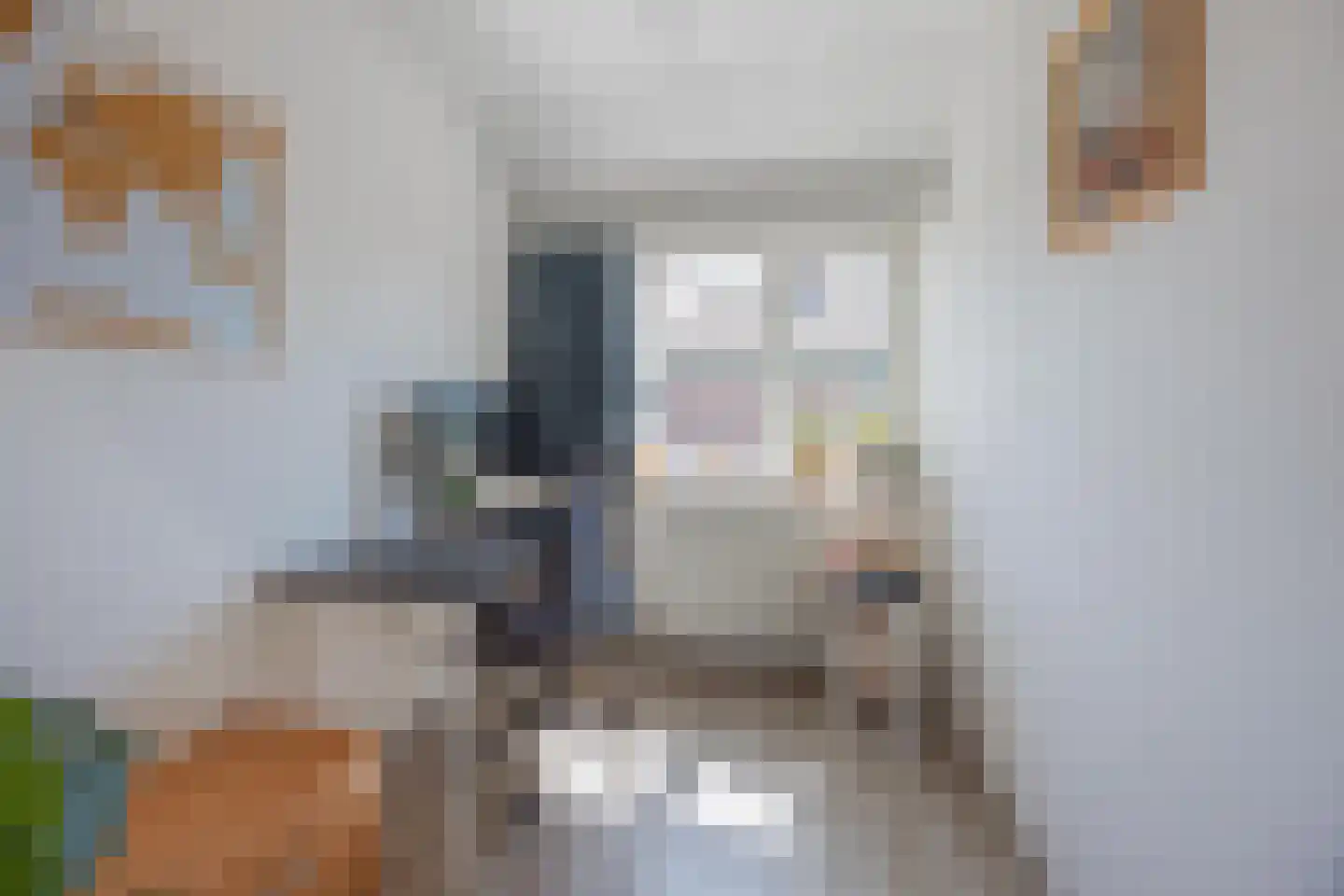 Benraatshoef 15 Raamsdonksveer thumbnail 38