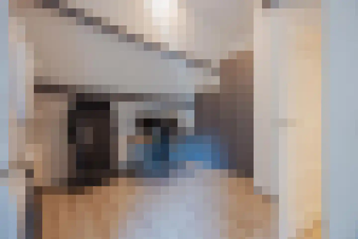 Benraatshoef 15 Raamsdonksveer thumbnail 42