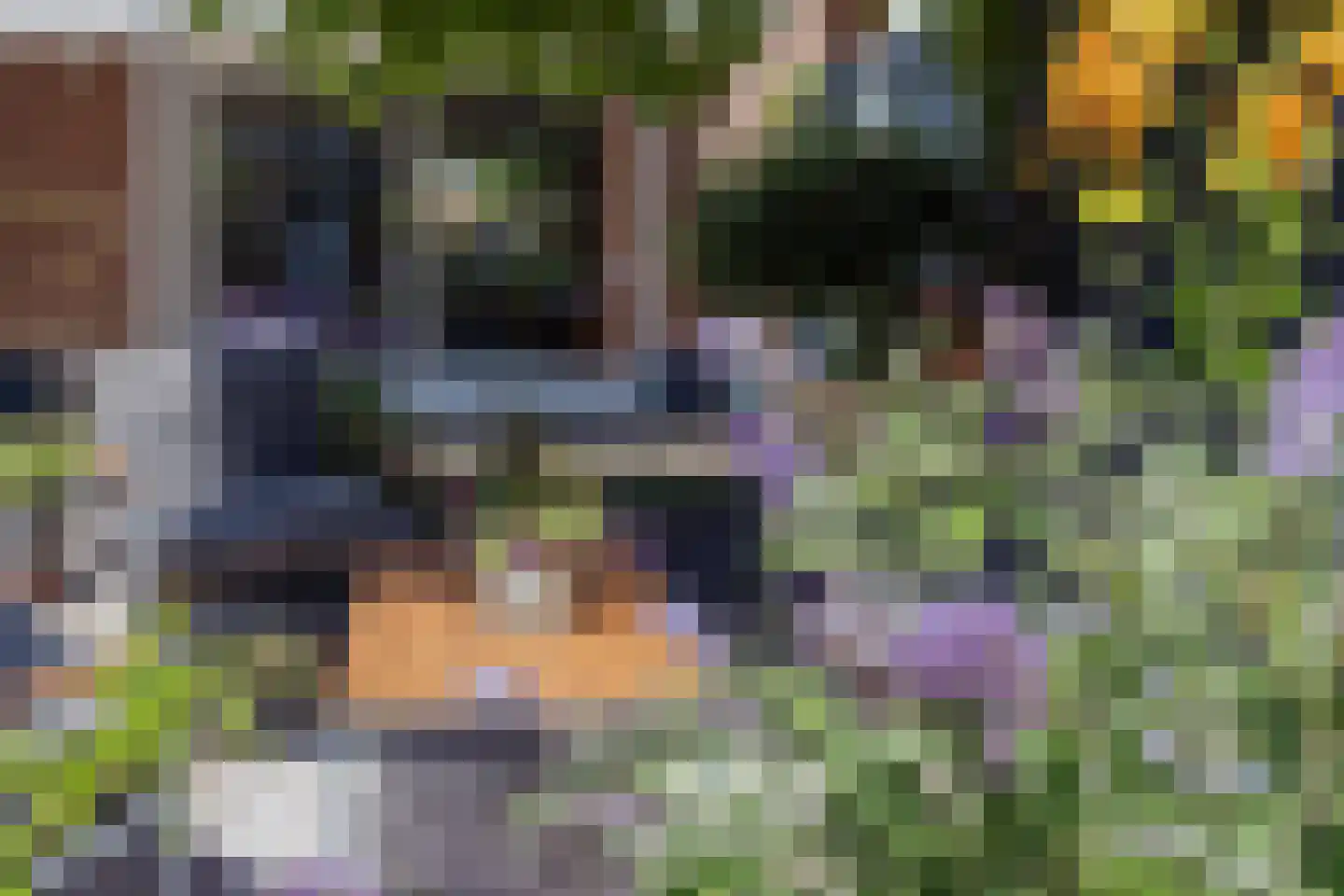 Benraatshoef 15 Raamsdonksveer thumbnail 51
