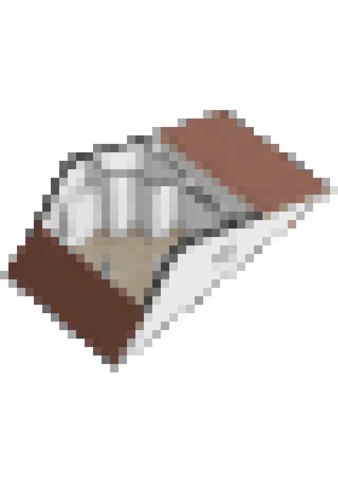Benraatshoef 15 Raamsdonksveer thumbnail 57