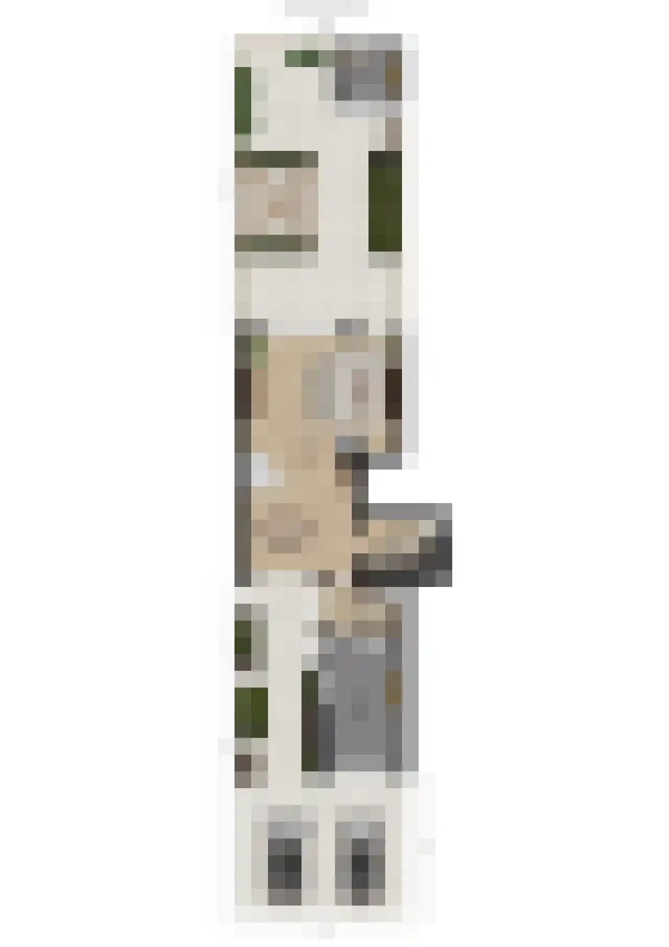 Benraatshoef 15 Raamsdonksveer thumbnail 58