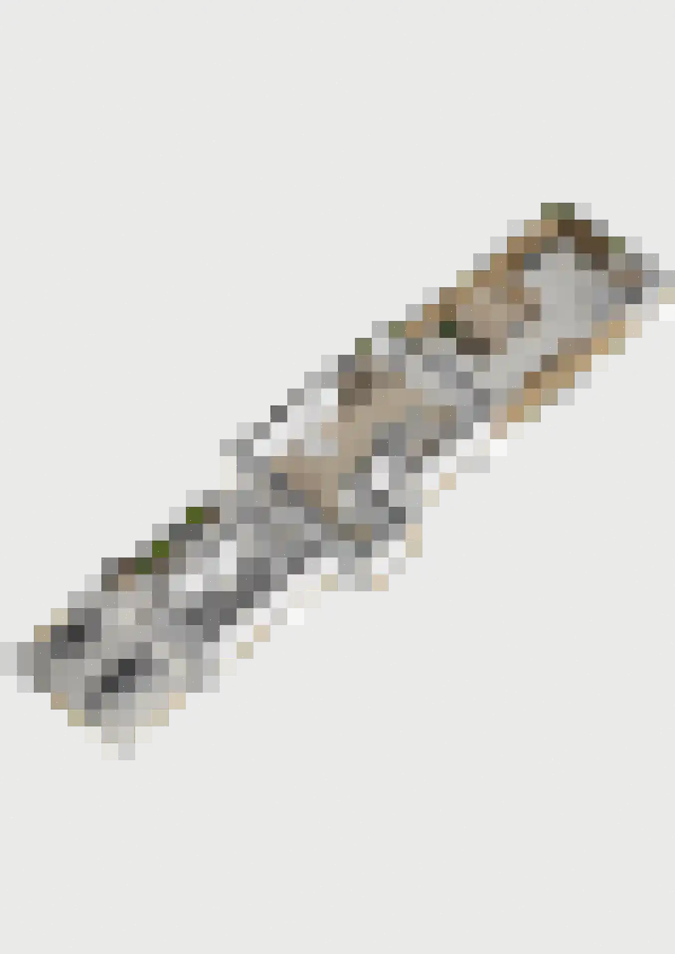 Benraatshoef 15 Raamsdonksveer thumbnail 59