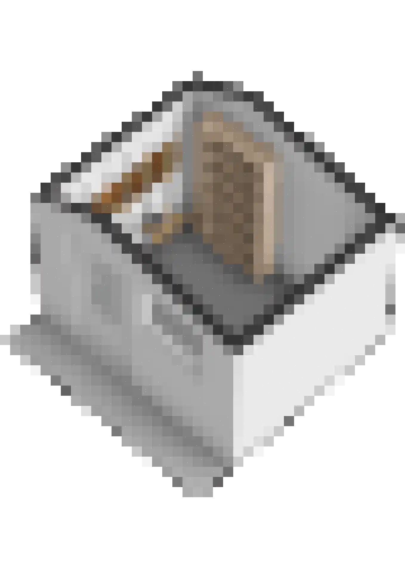 Benraatshoef 15 Raamsdonksveer thumbnail 61