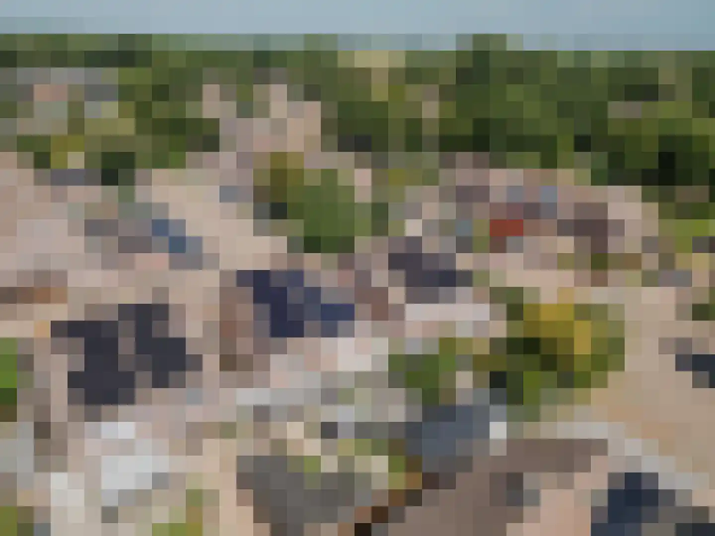 Benraatshoef 15 Raamsdonksveer thumbnail 8