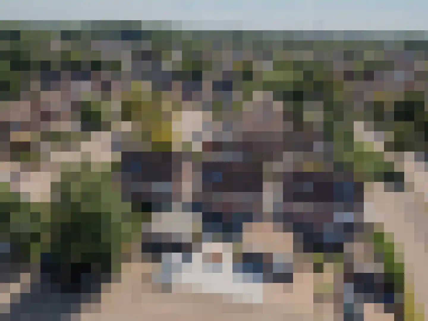 Benraatshoef 15 Raamsdonksveer thumbnail 9