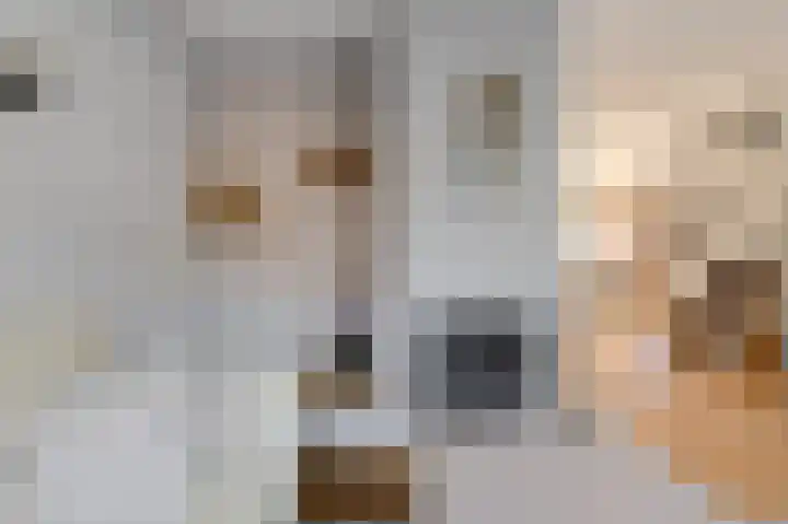Benraatshoef 19 Raamsdonksveer thumbnail 14