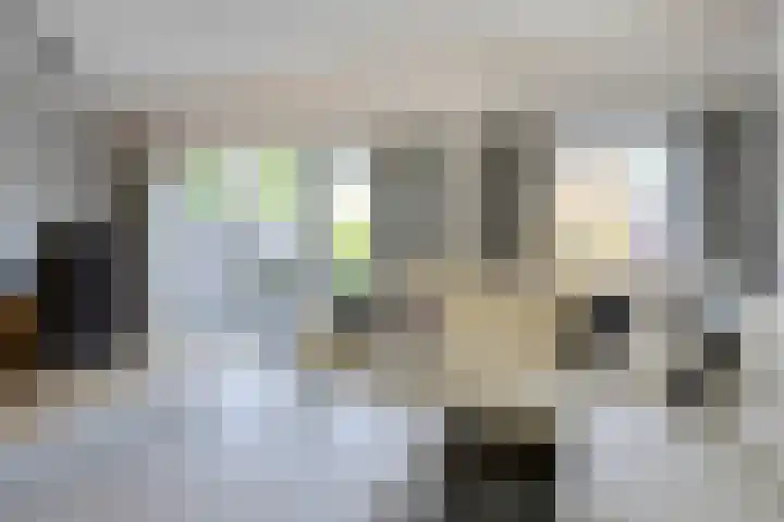 Benraatshoef 19 Raamsdonksveer thumbnail 16