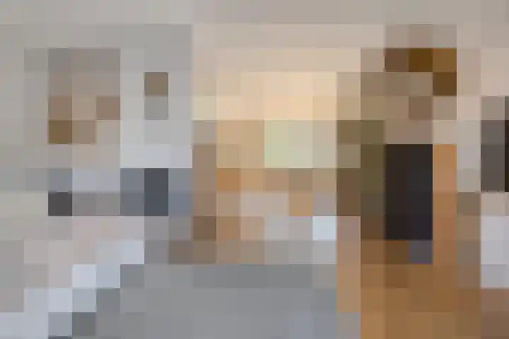 Benraatshoef 19 Raamsdonksveer thumbnail 17