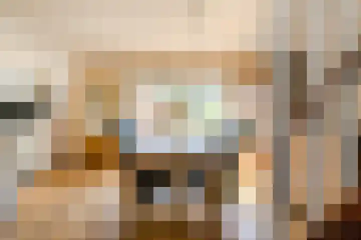 Benraatshoef 19 Raamsdonksveer thumbnail 19