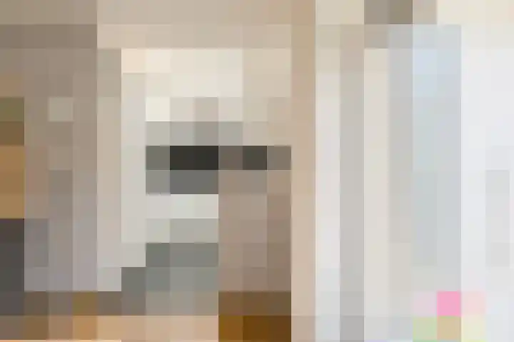 Benraatshoef 19 Raamsdonksveer thumbnail 21