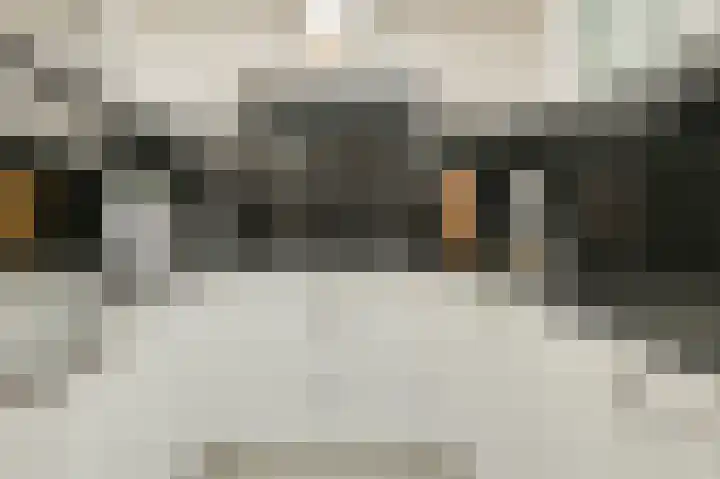 Benraatshoef 19 Raamsdonksveer thumbnail 24